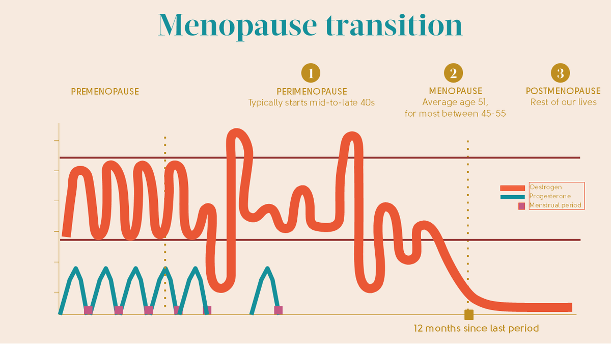 Balancing Your Hormones in Menopause: The Myths & the Facts