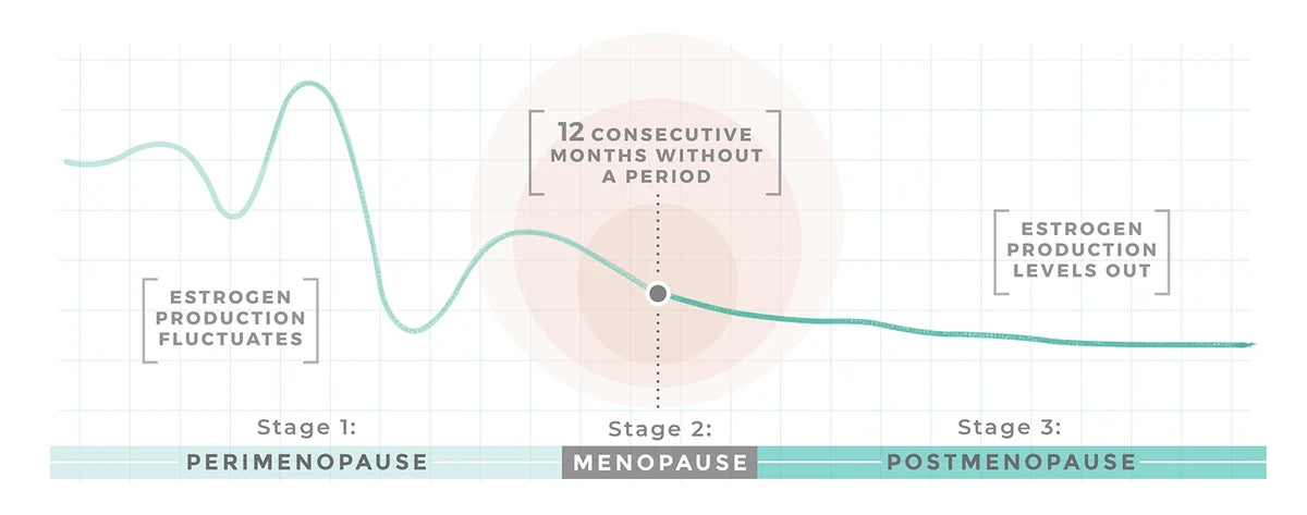 Menopause stages graphic